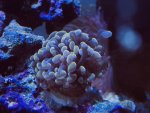 IMG_3666.jpeg