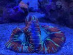 IMG_3662.jpeg