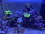 IMG_3661.jpeg