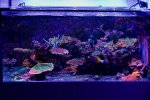 Kessil_RC_OG-1.jpg