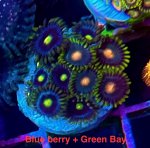 IMG_3091.jpeg