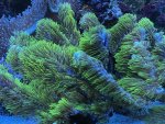IMG_3084.jpeg