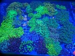 20241115_180608.jpg