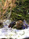 IMG_8151.jpg