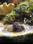 IMG_8152.jpg