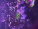 IMG_6469.jpeg