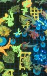 IMG_4937.jpeg