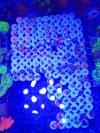 20241120_162851.jpg