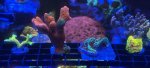 IMG_8473.jpeg