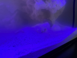 1733161476141.png 1733161476141.png