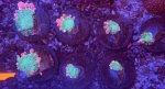 IMG_7755.jpeg