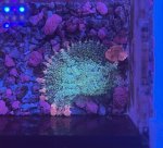 IMG_7756.jpeg