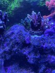 thumbnail_IMG_1622.jpg