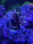 thumbnail_IMG_1623.jpg