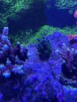 thumbnail_IMG_1624.jpg