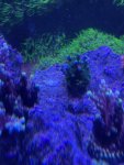 thumbnail_IMG_1625.jpg