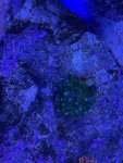 thumbnail_IMG_1626.jpg