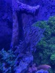 thumbnail_IMG_1631.jpg