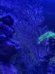 thumbnail_IMG_1632.jpg
