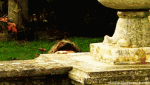 D9FDF4B5-999F-4497-9CC9-1C0F005A5653.gif
