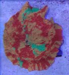 D40F89C0-4852-42AD-968C-1116B13BE355.jpeg