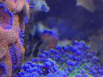 IMG_5281.jpeg