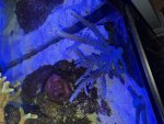 IMG_2072.jpeg