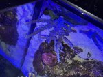IMG_2073.jpeg