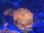 IMG_8507.jpeg