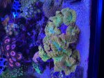 IMG_3069.jpeg