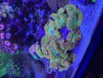 IMG_3071.jpeg