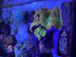 IMG_3070.jpeg