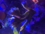 IMG_6979.jpeg
