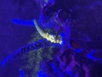 IMG_6976.jpeg
