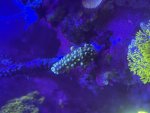 IMG_6978.jpeg