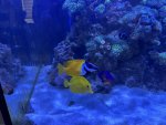 IMG_1695.jpeg