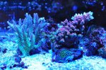 DSC_8588.JPG