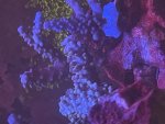 IMG_7006.jpeg