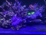 IMG_2134.jpeg