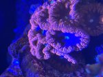 IMG_1308.jpeg