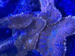 IMG_1309.jpeg
