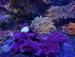 IMG_5432.jpeg