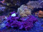 IMG_5431.jpeg