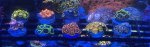 IMG_8575.jpeg