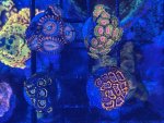 IMG_8573.jpeg IMG_8573.jpeg