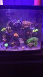 IMG_7001.jpeg