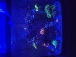 IMG_7067.jpeg
