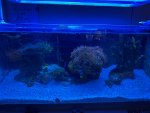 IMG_0664.jpeg