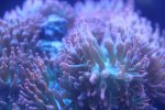 IMG_4514.jpeg