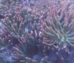 IMG_4524.jpeg